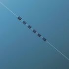 Micros plombs cubiques cues refill guru - Ronds | Pacific P&ecirc;che