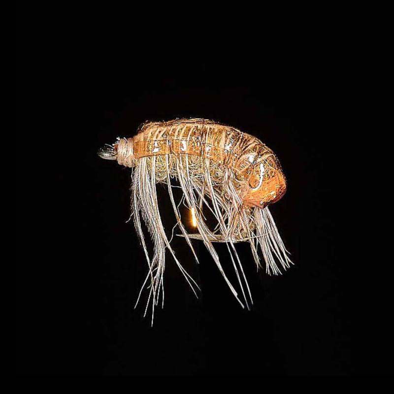 Gammare H14 (x3) - Nymphes | Pacific P&ecirc;che