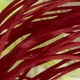 Couleurs