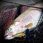 Leurre Dur Jerkbait Rapala Countdown 03 3cm 4g - Jerkbaits | Pacific P&ecirc;che