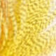 Couleurs