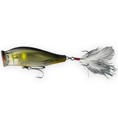 Leurre Dur Popper Evok Viktima 8.5cm, 19g - Surface | Pacific P&ecirc;che