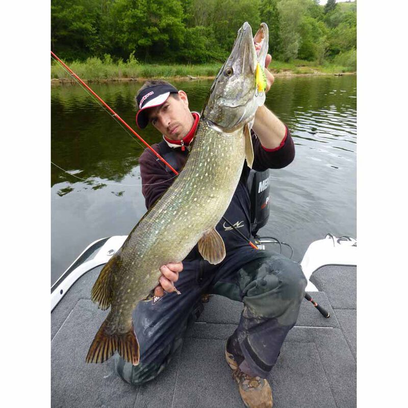 Leurre Dur Crankbait Duo Realis Crank M65 11A 6.5cm, 16g - Crankbaits | Pacific P&ecirc;che