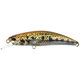 Couleurs