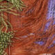 Couleurs