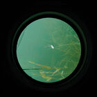Aquascope carpe carp spirit water scan - Amor&ccedil;age/Propulsion | Pacific P&ecirc;che