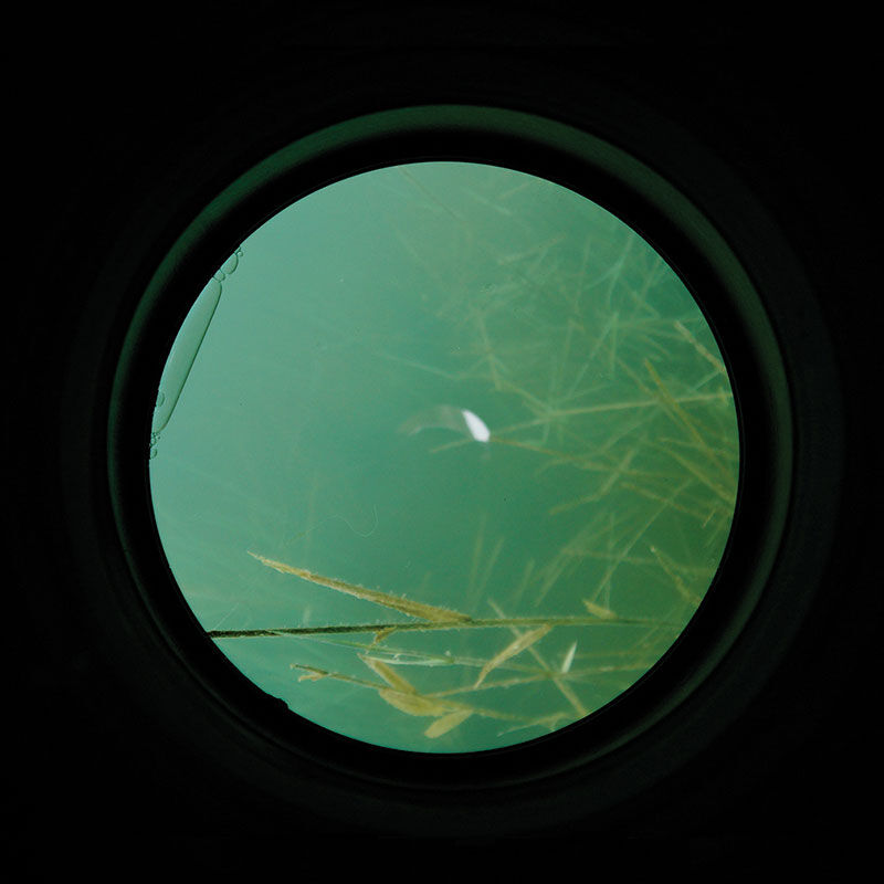 Aquascope carpe carp spirit water scan - Amor&ccedil;age/Propulsion | Pacific P&ecirc;che