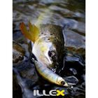 Leurre dur jerkbait carnassier illex tricoroll 55 s 5,5cm 3,5g - Jerkbaits | Pacific P&ecirc;che