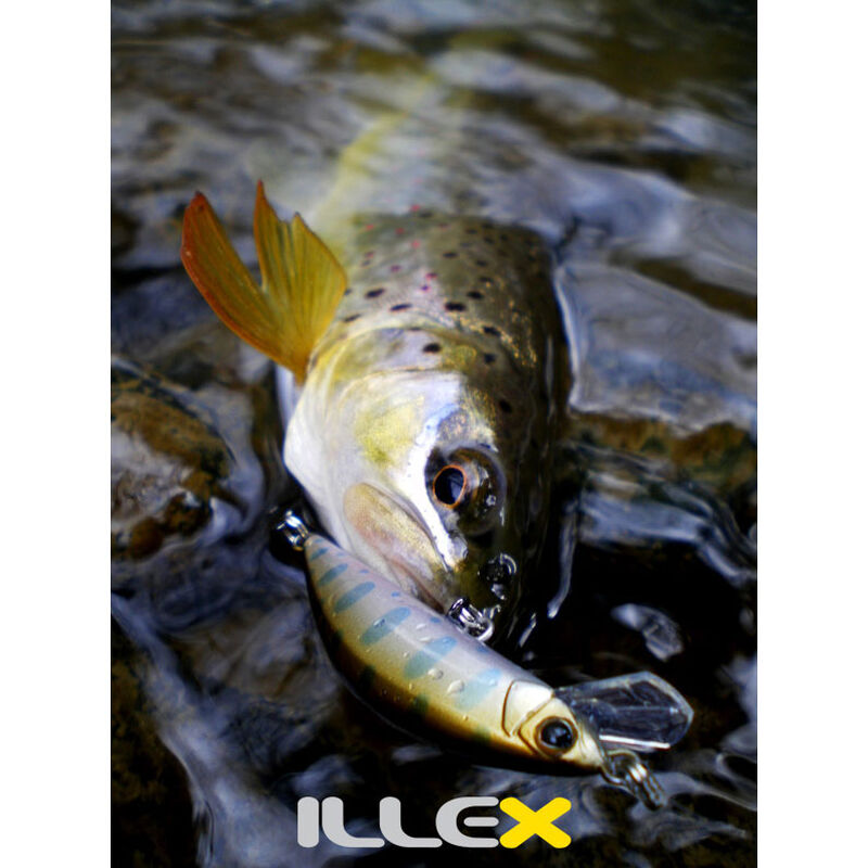 Leurre dur jerkbait carnassier illex tricoroll 55 s 5,5cm 3,5g - Jerkbaits | Pacific P&ecirc;che