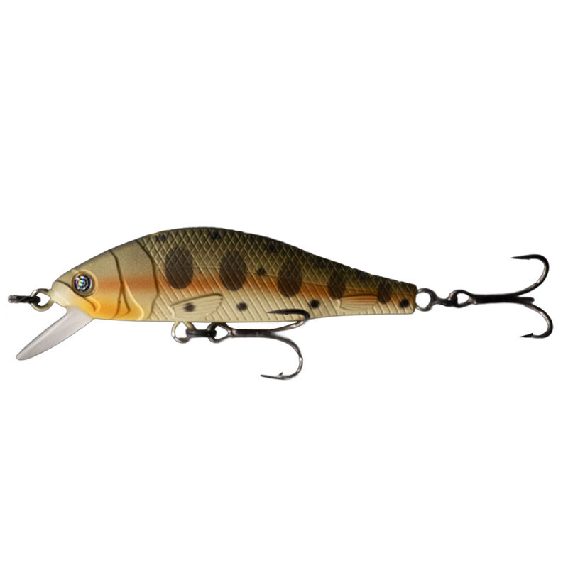 Leurre Dur Jerkbait Evok Makavelik 60S, 7g - Jerkbaits | Pacific P&ecirc;che