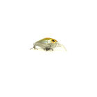 Pack Bzone STK Chub (x3) - Poissons Nageurs | Pacific P&ecirc;che