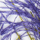 Couleurs