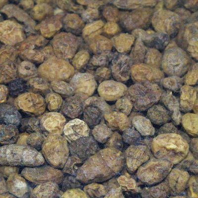 Graines s&egrave;ches carpe active baits tiger nuts micro. - S&egrave;ches | Pacific P&ecirc;che
