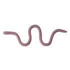 Leurre Souple Worm OSP Mmz 10cm (x8) - Worms | Pacific P&ecirc;che