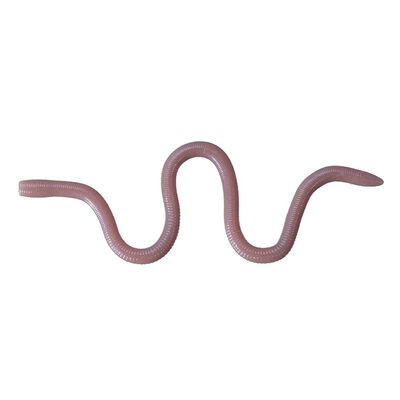 Leurre Souple Worm OSP Mmz 10cm (x8) - Worms | Pacific P&ecirc;che