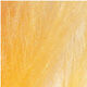 Couleurs