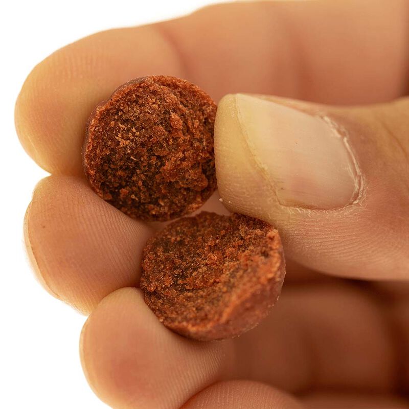 Bouillettes Cap River Indian Spice 1kg - Denses | Pacific P&ecirc;che