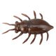 Couleurs