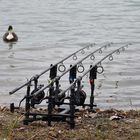 Rod pod prowess sticks pod - Rod Pod | Pacific P&ecirc;che