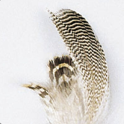 Fly tying plumes de sarcelle jmc - Plumes | Pacific P&ecirc;che