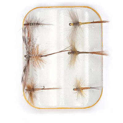 Mouches kit jmc 6 mouches seches - Kit Mouches | Pacific P&ecirc;che