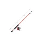 Ensemble Shakespeare Disney Cars Spinning Combo - Cannes Spinning | Pacific P&ecirc;che