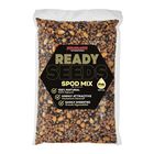Graines Cuites Starbaits Ready Seed Spod Mix - Pr&ecirc;tes &agrave; l'emploi | Pacific P&ecirc;che