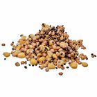 Graines Cuites Starbaits Ready Seed Demon Spod Mix - Pr&ecirc;tes &agrave; l'emploi | Pacific P&ecirc;che