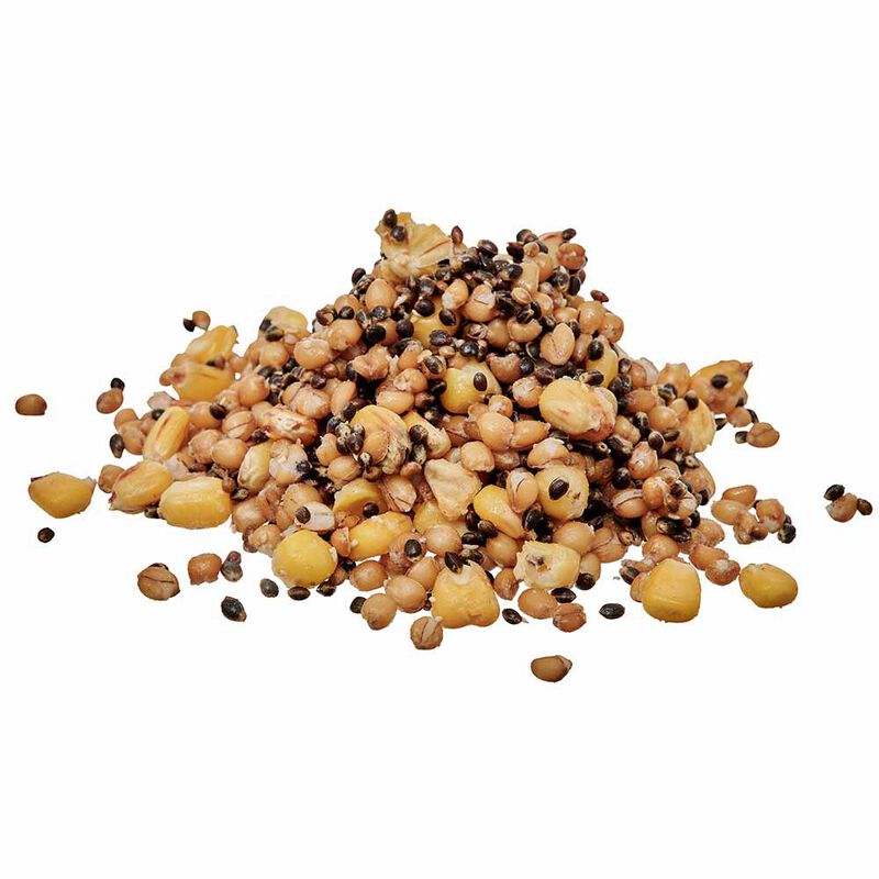 Graines Cuites Starbaits Ready Seed Demon Spod Mix - Pr&ecirc;tes &agrave; l'emploi | Pacific P&ecirc;che
