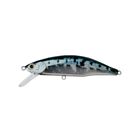 Leurre Dur Jerkbait Jackson Meteora 8cm, 15.5g - Jerkbaits | Pacific P&ecirc;che