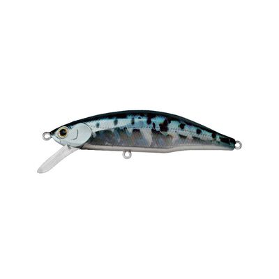 Leurre Dur Jerkbait Jackson Meteora 8cm, 15.5g - Jerkbaits | Pacific P&ecirc;che
