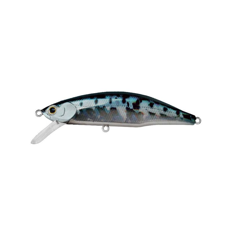 Leurre Dur Jerkbait Jackson Meteora 8cm, 15.5g - Jerkbaits | Pacific P&ecirc;che