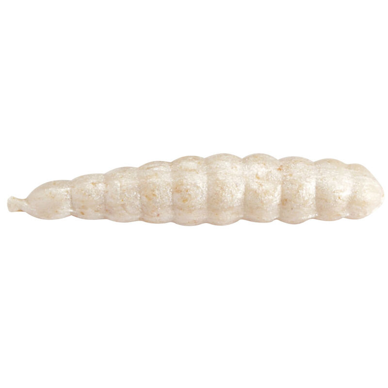App&acirc;t artificielle carnassier berkley gulp teignes (x24) - P&acirc;tes &agrave; truite | Pacific P&ecirc;che