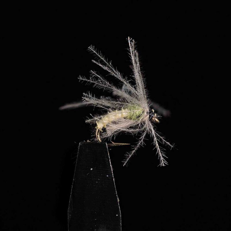 Cul vert JMC H16 (x3) - S&egrave;ches | Pacific P&ecirc;che