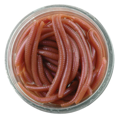 Glup Alive Berkley Angle Worm 3cm - App&acirc;ts artificiels | Pacific P&ecirc;che