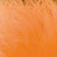 Couleurs