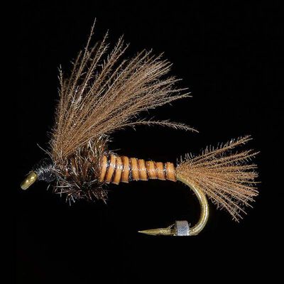 Emergente JMC BM 6 H18 (x3) - Emergentes | Pacific P&ecirc;che