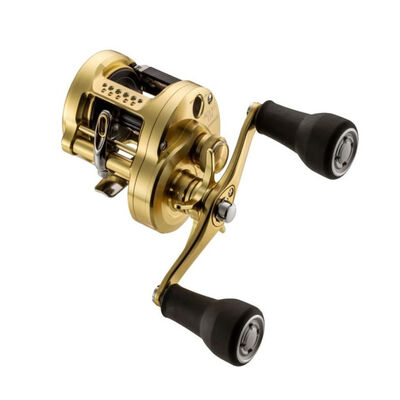 Moulinet Casting Shimano Calcutta Conquest MD 401 XG - Moulinets Casting | Pacific P&ecirc;che