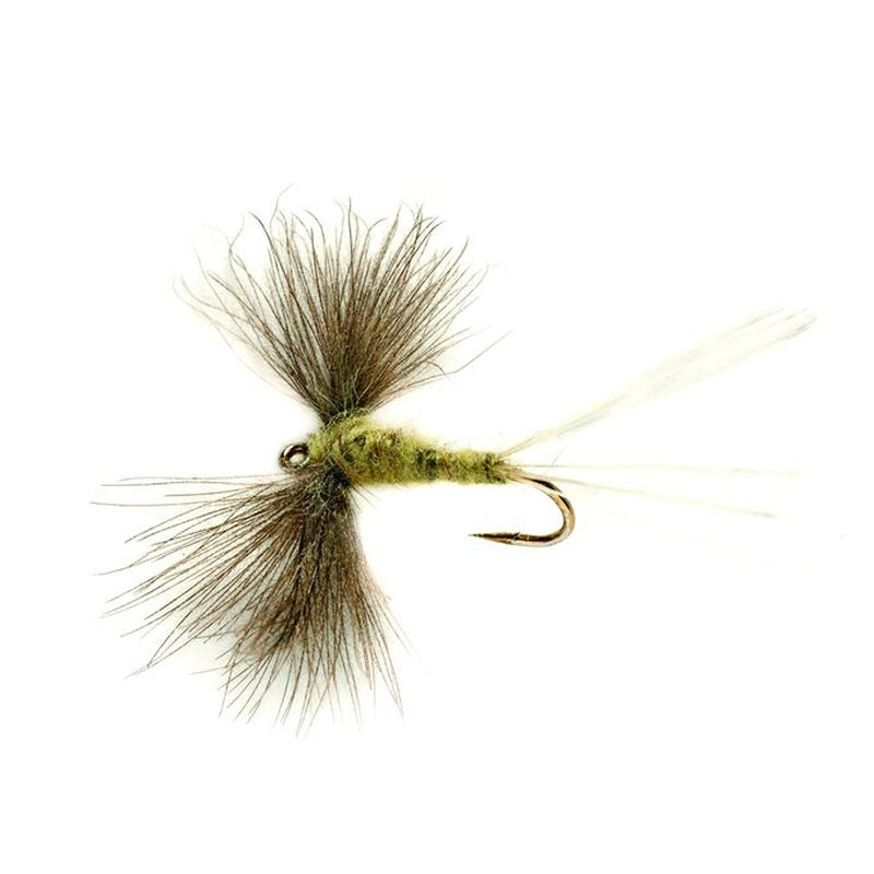 Mouche s&egrave;che silverstone spent olive h16 (x3) - S&egrave;ches | Pacific P&ecirc;che