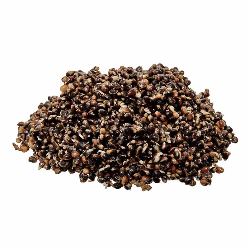 Graines Cuites Starbaits Ready Seed Demon Hemp - Pr&ecirc;tes &agrave; l'emploi | Pacific P&ecirc;che