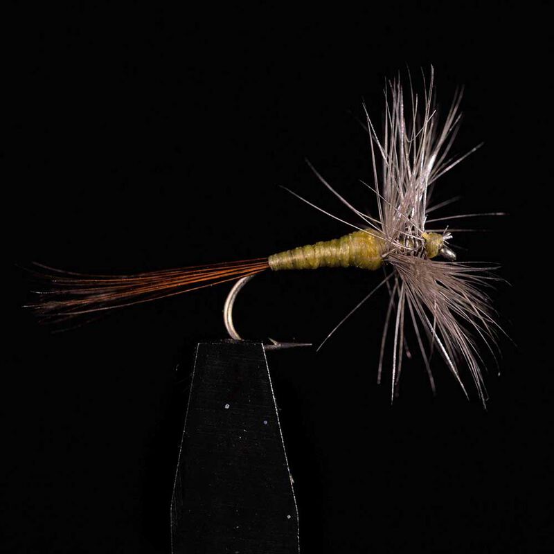 Araign&eacute;e JMC 600 H16 (x3) - S&egrave;ches | Pacific P&ecirc;che