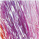 Couleurs