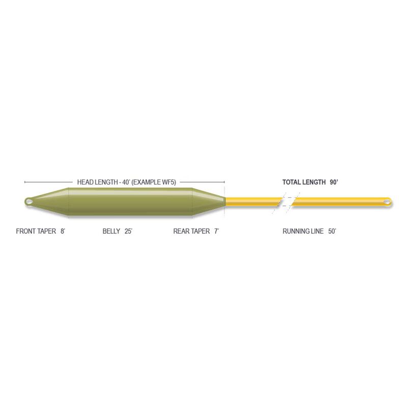Soie flottante Forge Floating Fly Line n&deg;8 - Flottantes | Pacific P&ecirc;che