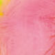 Couleurs