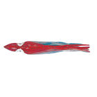 Leurre octopus flashmer 6cm (x5) - P&ecirc;che aux leurres | Pacific P&ecirc;che