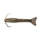 Leurre Souple Berkley Gulp Shrimp - 5cm - Leurres souples | Pacific P&ecirc;che