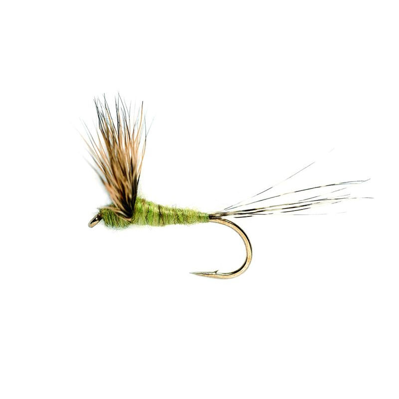 Mouche s&egrave;che silverstone comparadun olive h16 (x3) - S&egrave;ches | Pacific P&ecirc;che
