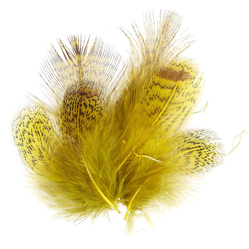 Plumes montage mouche jmc perdrix grise (jaune) - Plumes | Pacific P&ecirc;che