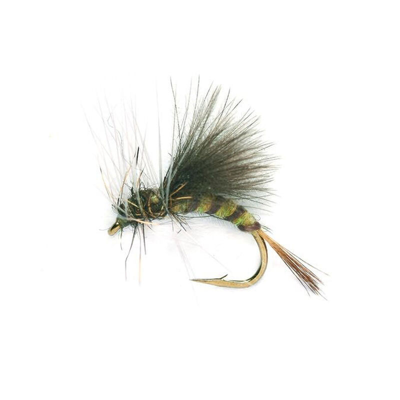 Mouche &eacute;mergente silverstone &eacute;mergente olive h18 (x3) - Emergentes | Pacific P&ecirc;che