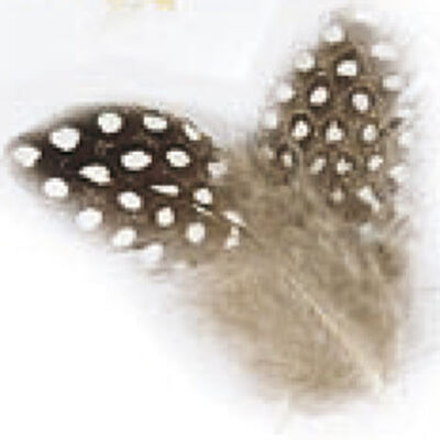 Fly tying plumes jmc pintade naturelle - Plumes | Pacific P&ecirc;che
